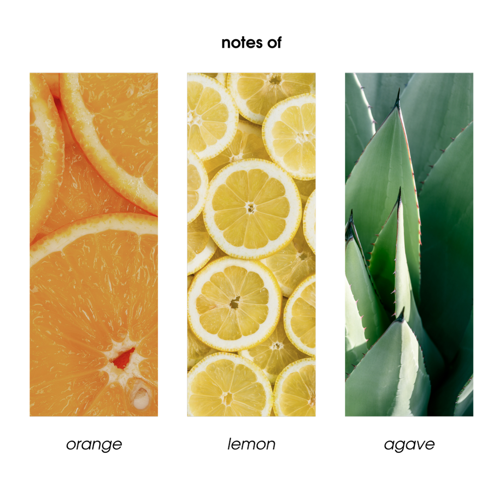 Citrus Agave Body Butter